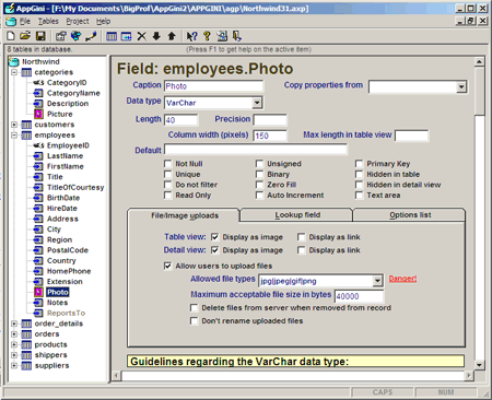 AppGini Free Trial Version Screenshot